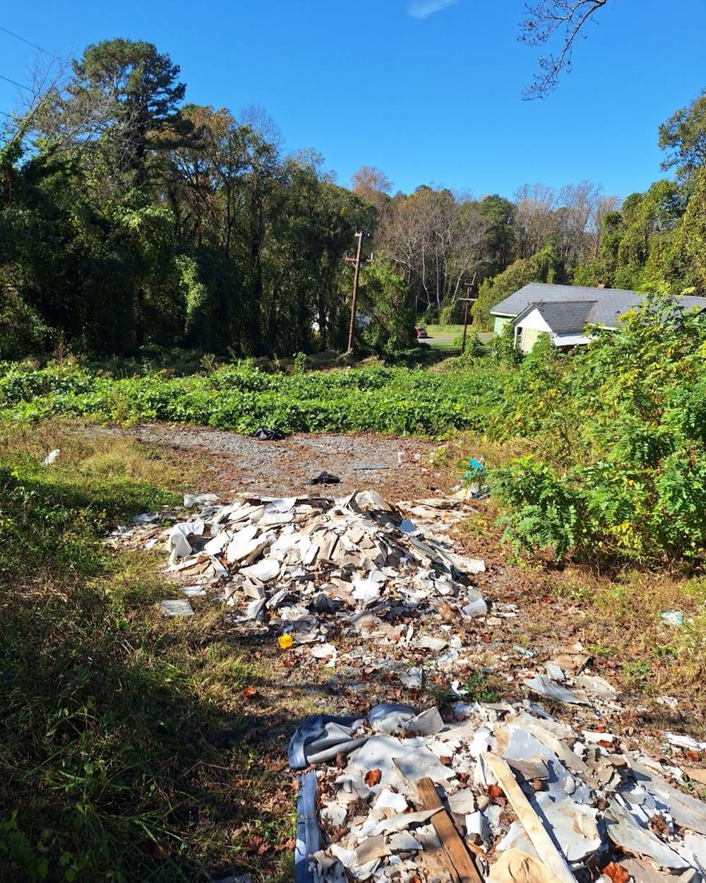 An overgrown vacant lot with dumped debris